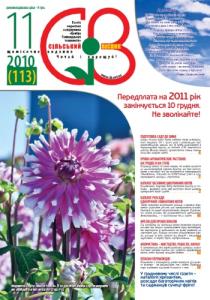 2010, №11